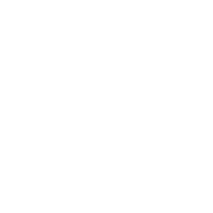Target_Bullseye-Logo_White_transparent